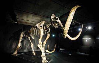 evmlookbook_expertvillagemedia