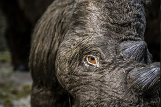 evmlookbook_expertvillagemedia