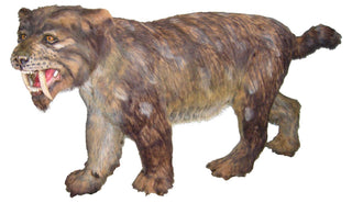 evmlookbook_expertvillagemedia