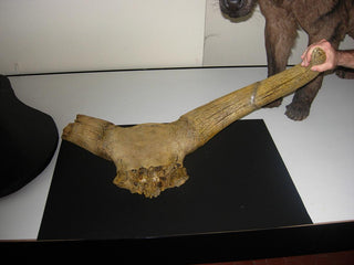 evmlookbook_expertvillagemedia