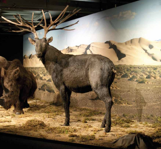 evmlookbook_expertvillagemedia