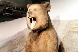 evmlookbook_expertvillagemedia