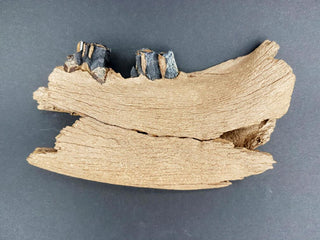 evmlookbook_expertvillagemedia