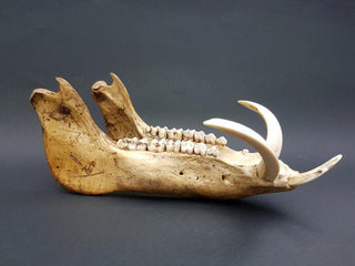 evmlookbook_expertvillagemedia