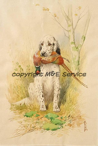 Acquarello di Boris Riab