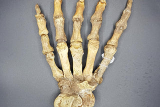 evmlookbook_expertvillagemedia