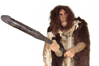 evmlookbook_expertvillagemedia