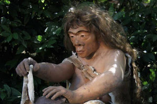 evmlookbook_expertvillagemedia