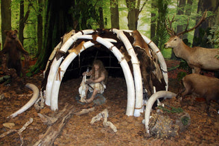 evmlookbook_expertvillagemedia