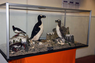 evmlookbook_expertvillagemedia