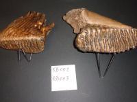 evmlookbook_expertvillagemedia