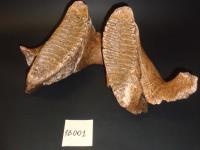 evmlookbook_expertvillagemedia