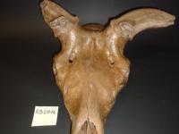 evmlookbook_expertvillagemedia