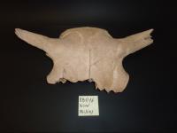 evmlookbook_expertvillagemedia