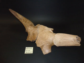 evmlookbook_expertvillagemedia