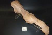 evmlookbook_expertvillagemedia