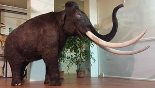 evmlookbook_expertvillagemedia