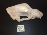 evmlookbook_expertvillagemedia