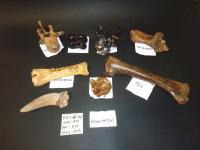 evmlookbook_expertvillagemedia