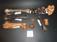 evmlookbook_expertvillagemedia