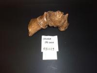 evmlookbook_expertvillagemedia