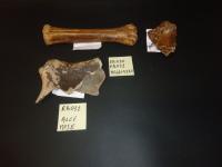 evmlookbook_expertvillagemedia