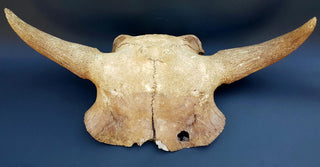 evmlookbook_expertvillagemedia