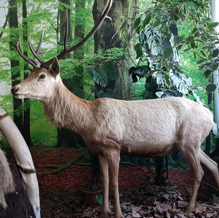 evmlookbook_expertvillagemedia