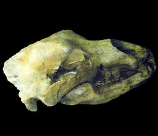 evmlookbook_expertvillagemedia