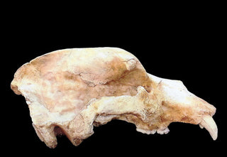 evmlookbook_expertvillagemedia