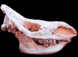 evmlookbook_expertvillagemedia