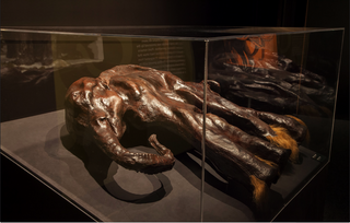 evmlookbook_expertvillagemedia