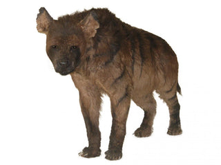 evmlookbook_expertvillagemedia