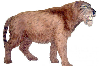 evmlookbook_expertvillagemedia