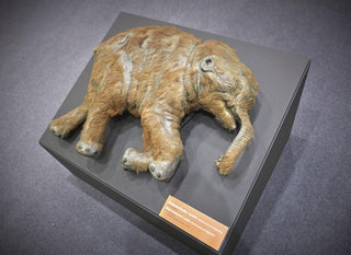 evmlookbook_expertvillagemedia