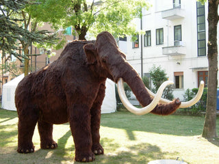 evmlookbook_expertvillagemedia