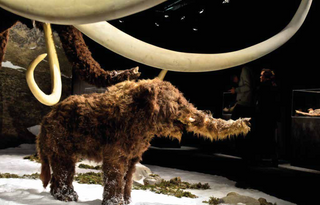 evmlookbook_expertvillagemedia