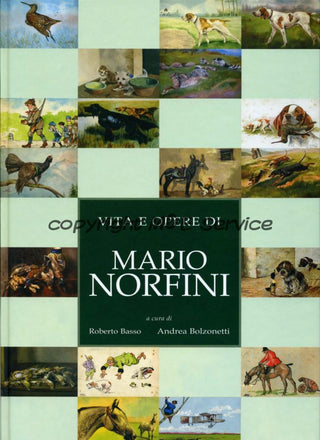 Copertina catalogo Vita e opere di Mario Norfini - a cura di Roberto Basso, Andrea Bolzonetti
