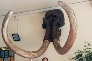 evmlookbook_expertvillagemedia