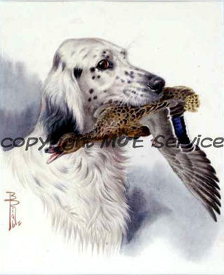 Acquarello di Boris Riab