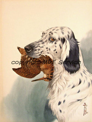 Acquarello di Boris Riab