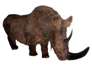 evmlookbook_expertvillagemedia