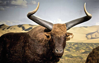 evmlookbook_expertvillagemedia